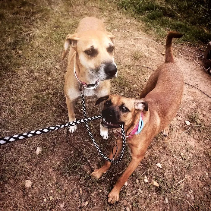 East Point Animal Clinic 12