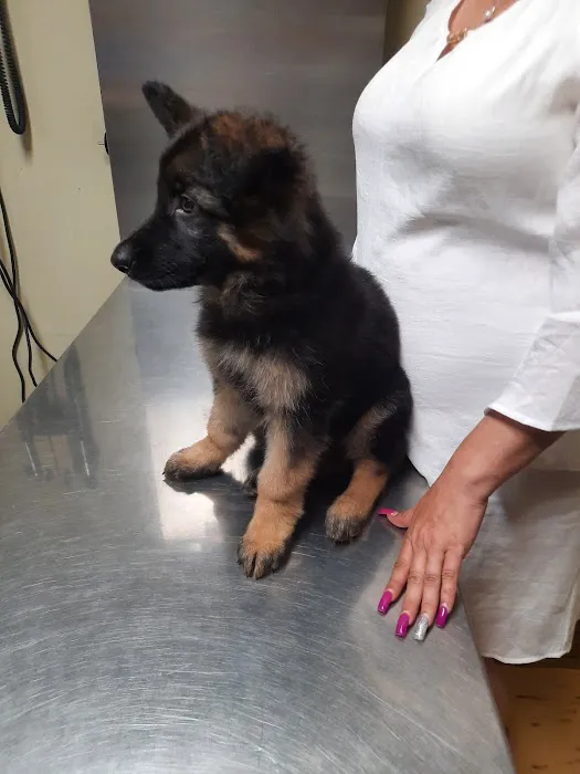 East Point Animal Clinic 12