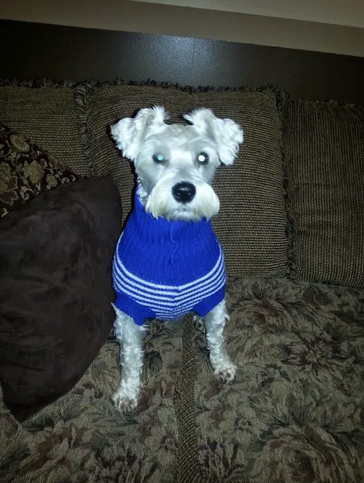 Eastpoint Animal Hospital- Haynes, Dennis DVM 12