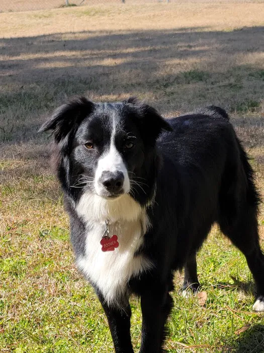 Eastpoint Animal Hospital- Haynes, Dennis DVM 12