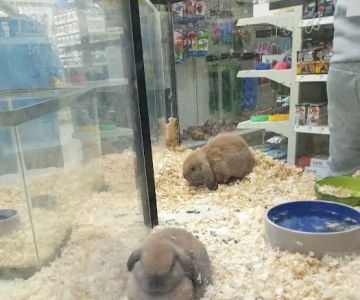 Inland Reef Pet Store