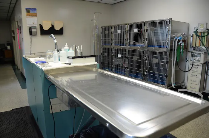Red Oak Veterinary Clinic 12