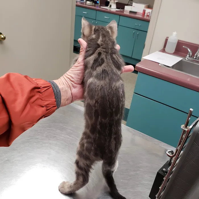 Tony Crider DVM - Catoma Animal Clinic 12
