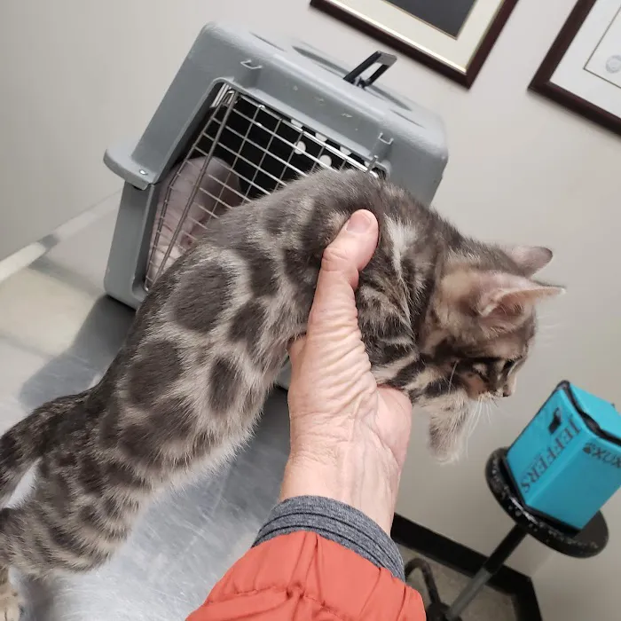 Tony Crider DVM - Catoma Animal Clinic 12