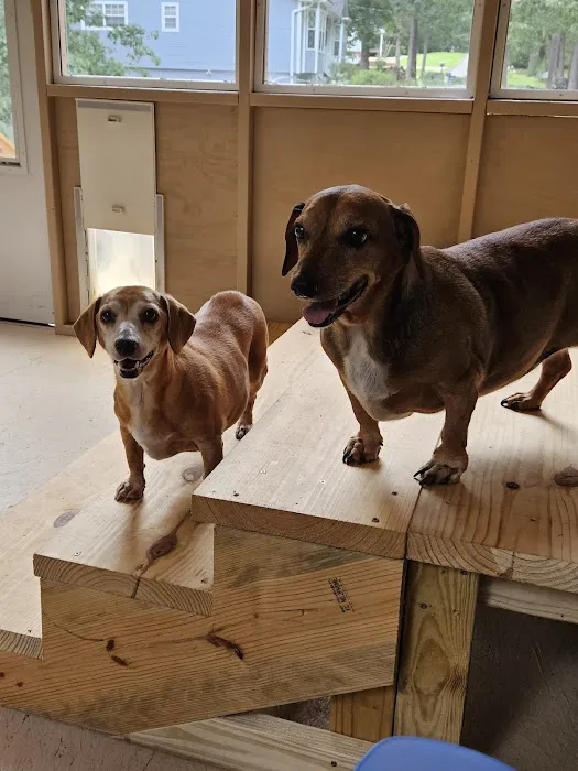 Compton's Veterinary Hospital 12