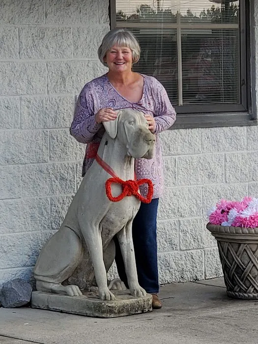 Cullman Veterinary Hospital Pc 12