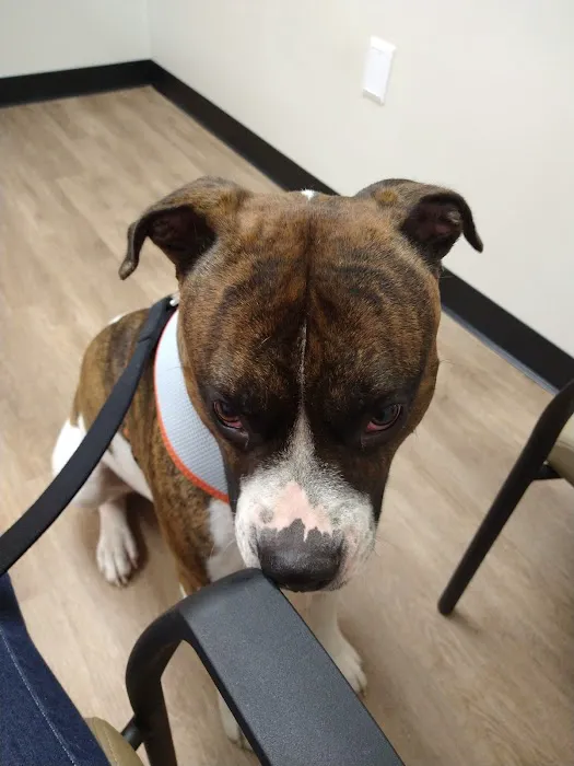 Hayden Veterinary Clinic 12