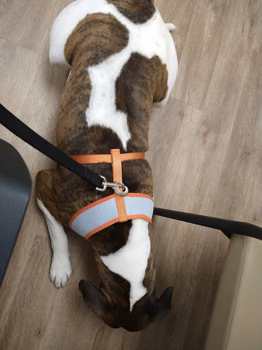Hayden Veterinary Clinic 12