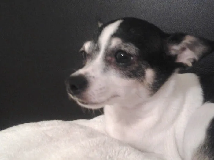 Hayden Veterinary Clinic 12