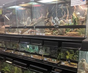 Petland South Point