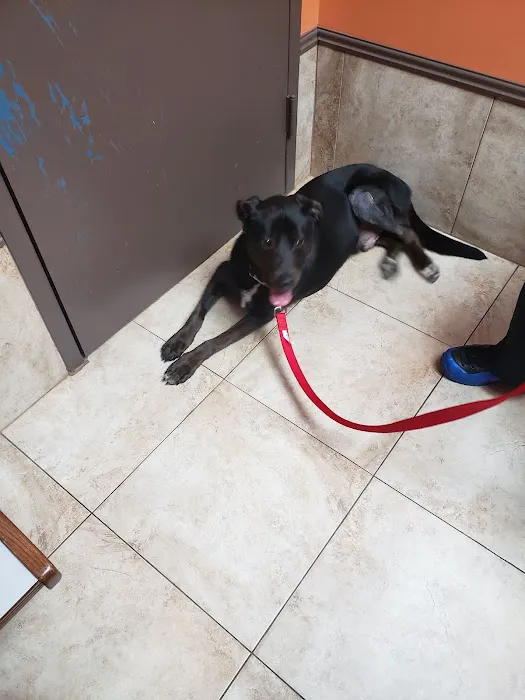 Clay-Chalkville Animal Clinic 12