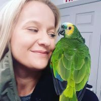 Grayson Valley Pet Clinic ico