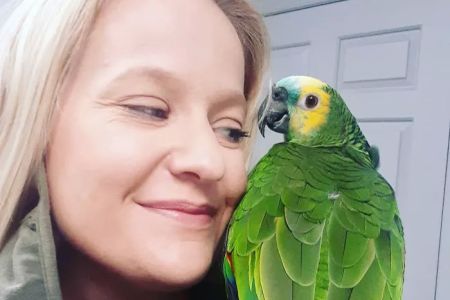 Grayson Valley Pet Clinic