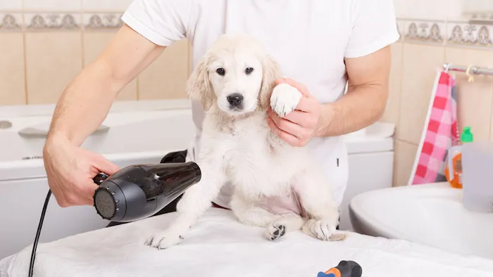 Grayson Valley Pet Clinic: Carl Grimmett DVM 12