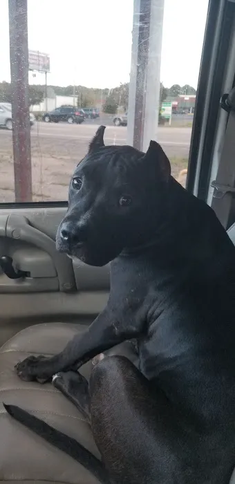 Center Point Animal Clinic 12