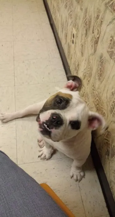 Center Point Animal Clinic 12