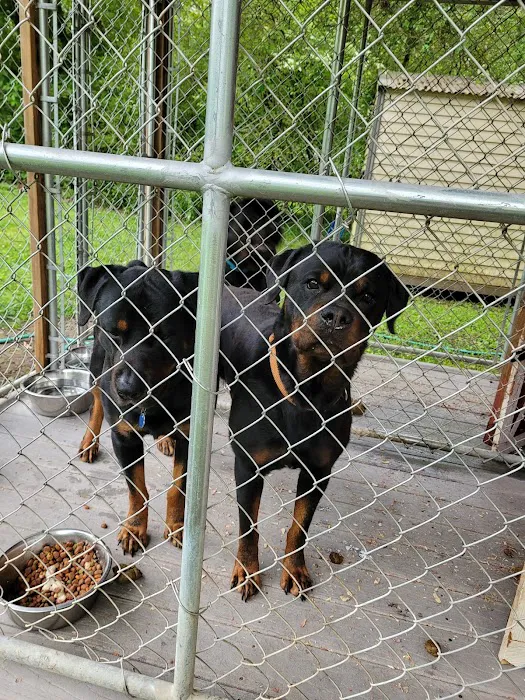 Center Point Animal Clinic 12