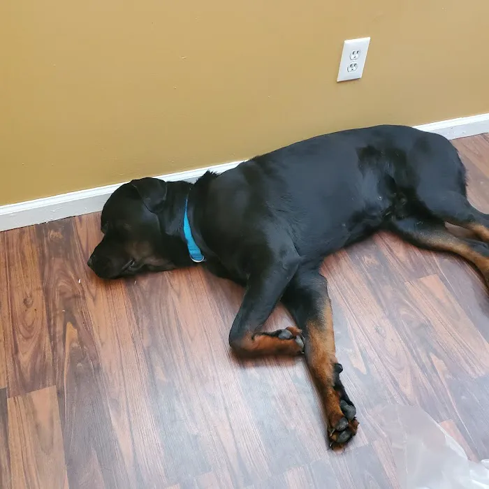 Center Point Animal Clinic 12