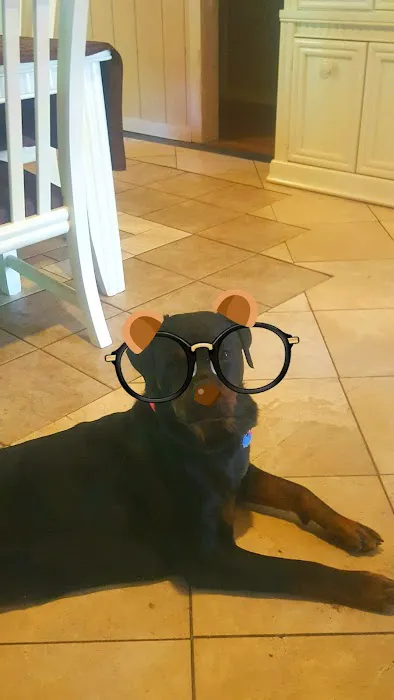 Center Point Animal Clinic 12