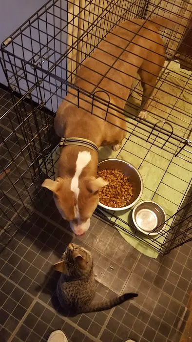 Pinson Animal Hospital 12
