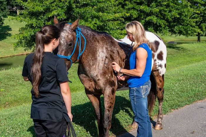 North Iredell Animal Hospital 2