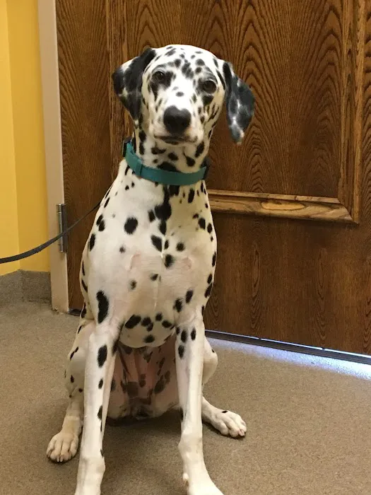North Iredell Animal Hospital 9