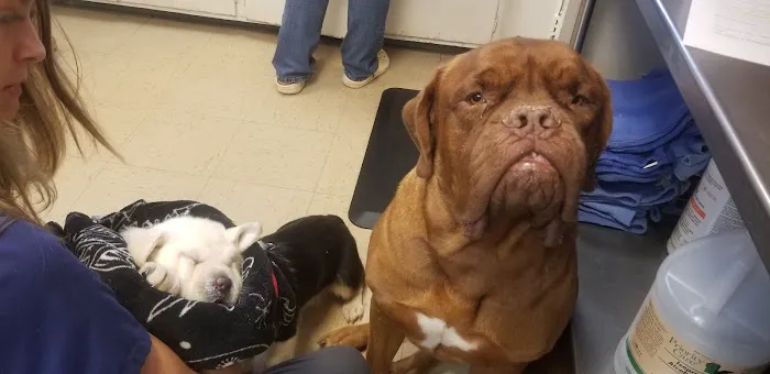 Stony Point Animal Clinic 3