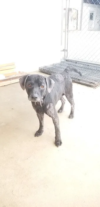 Stony Point Animal Clinic 1