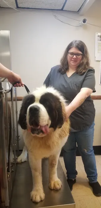 Stony Point Animal Clinic 9