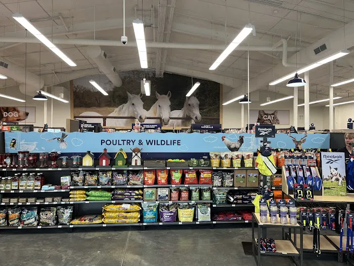 Petco 12