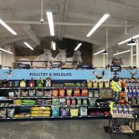Petco ico