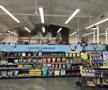 Petco