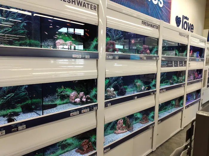 Petco 12