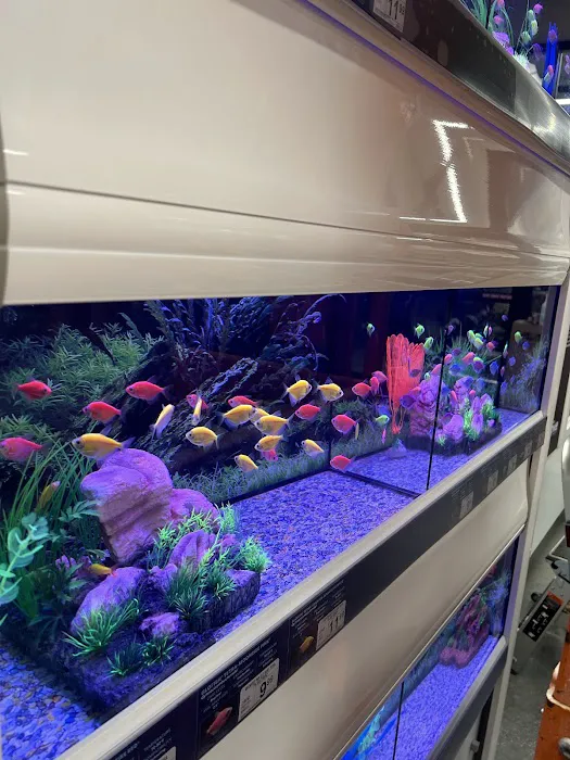 Petco 12