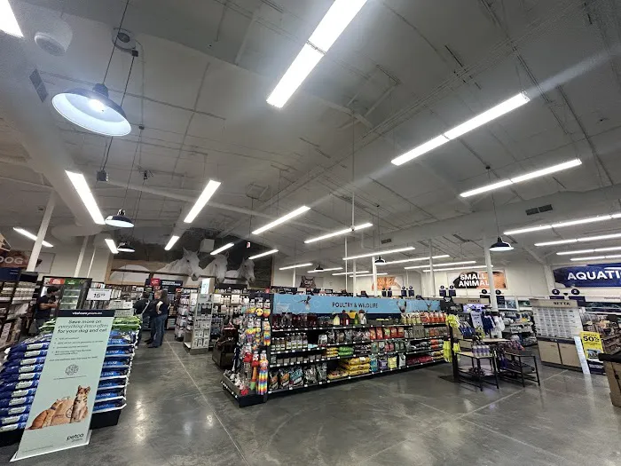 Petco 12