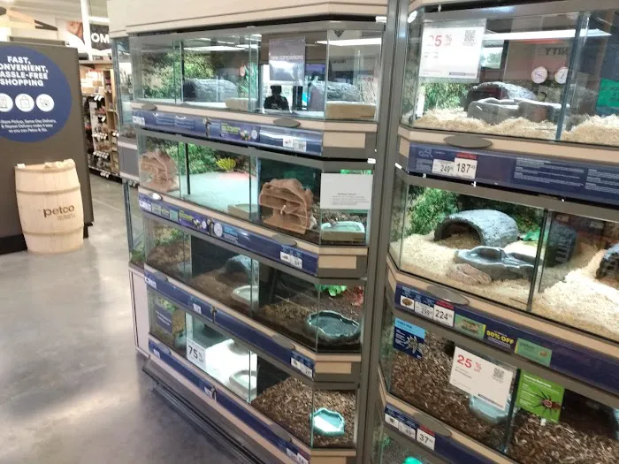 Petco 12
