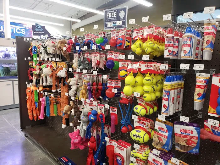 Petco 12