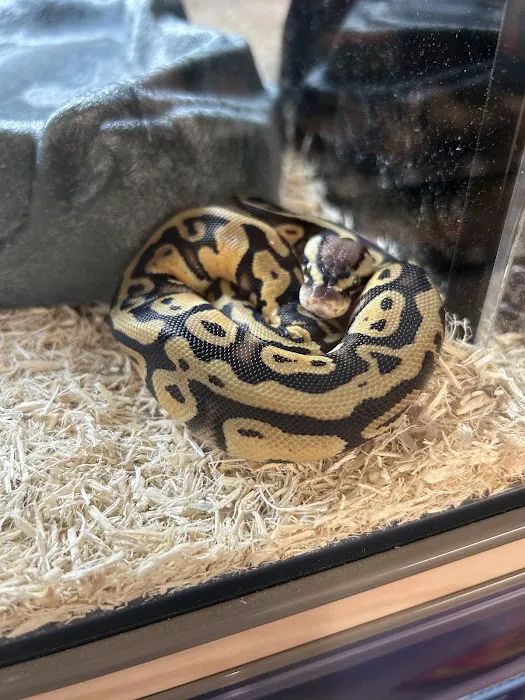 Petco 12