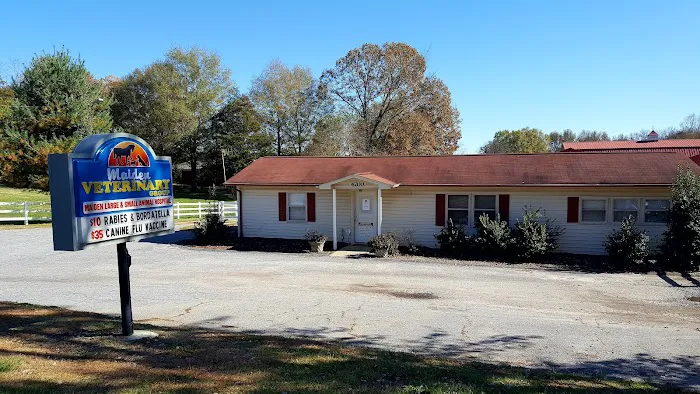 Maiden Small Animal Hospital 5