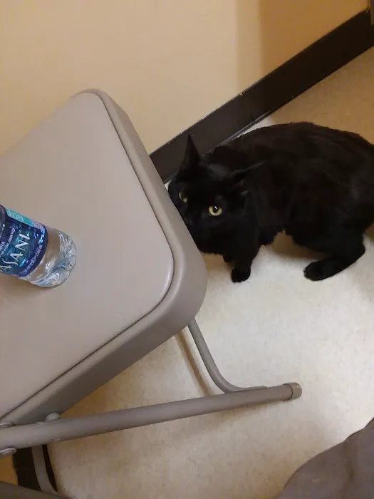 Maiden Small Animal Hospital 6