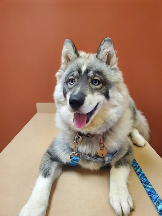 Ironton Animal Hospital 5