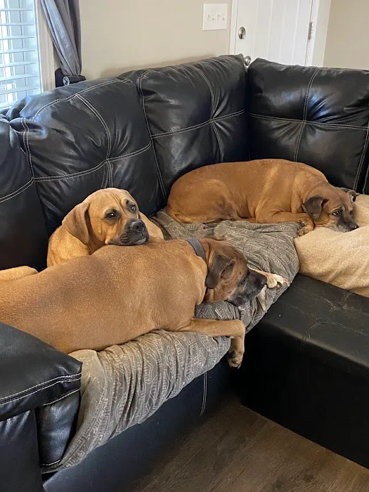 Ironton Animal Hospital 4