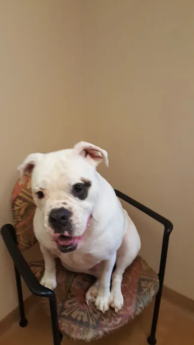 Ironton Animal Hospital 6