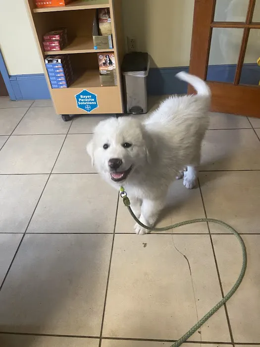 China Grove Animal Hospital 10