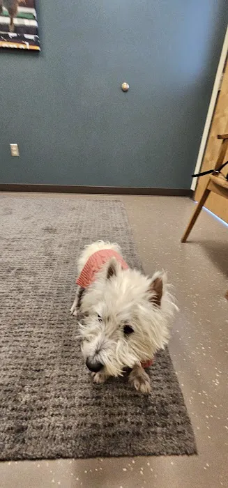 CVCA Cardiac Care for Pets 12