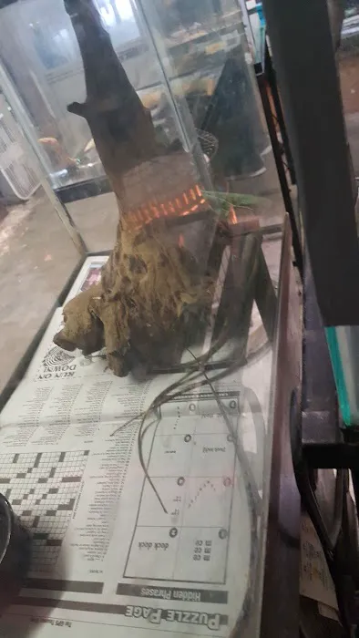 Reptile City 12
