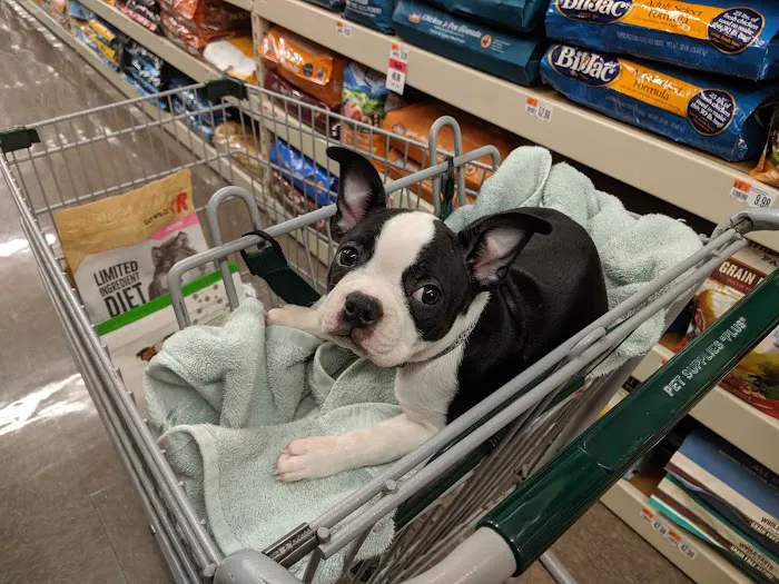 Pet Supplies Plus West Columbia 12