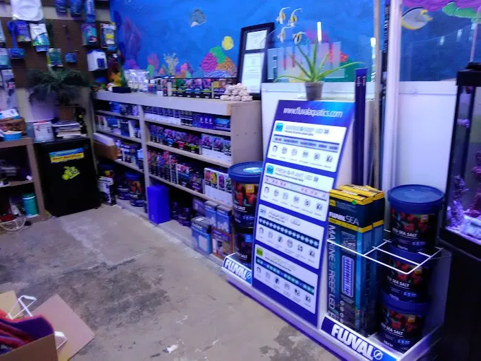Palmetto Reef 12