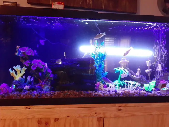 Palmetto Reef 12
