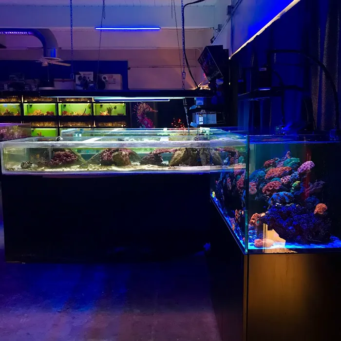 Palmetto Reef 12